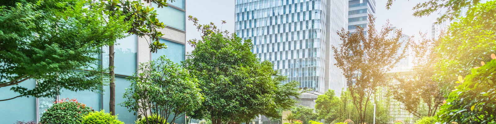 Property Tax Review
